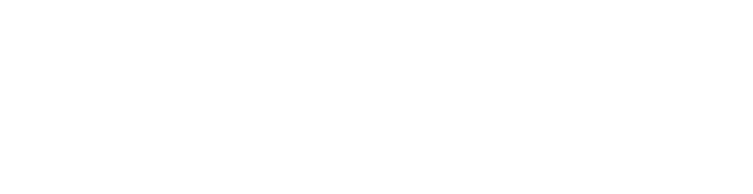 MindSprint
